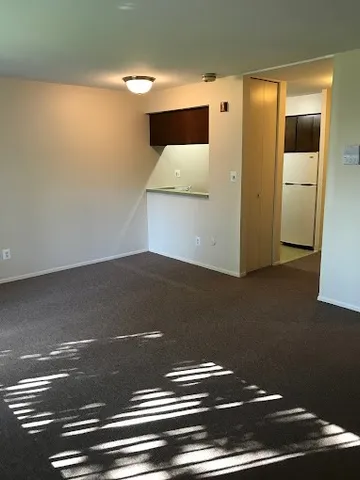 a view of livingroom and closet