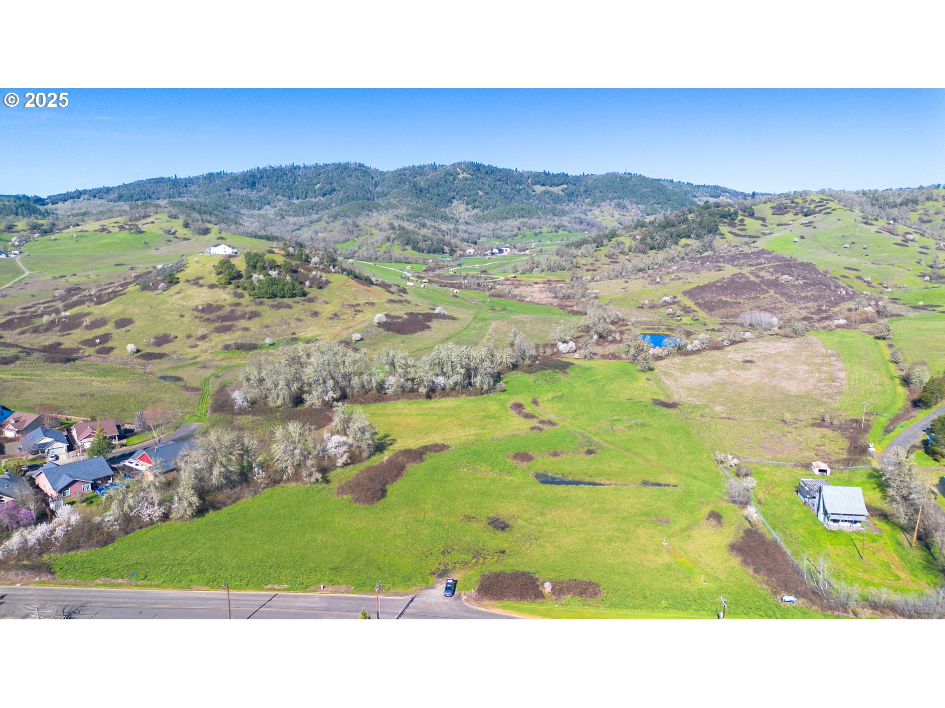 Lookingglass Road Winston, OR 97496 - Photo 4 of 7 a picture of a park