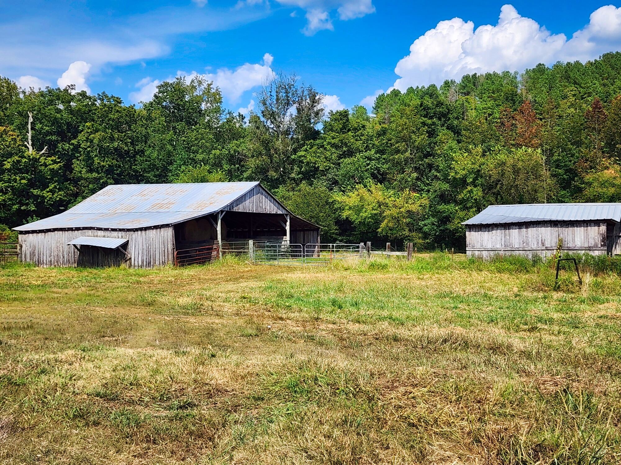 8312 Middle Butler Road Cypress Inn, TN 38452 - Photo 12 of 52 a front view of a house with garden
