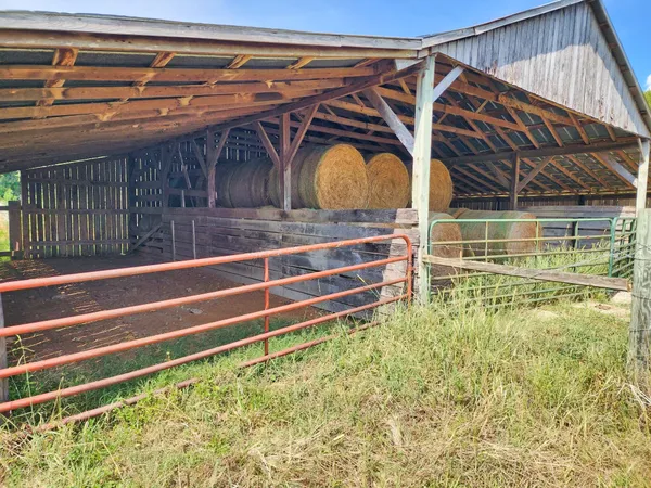 a view of a street with a yard and large trees