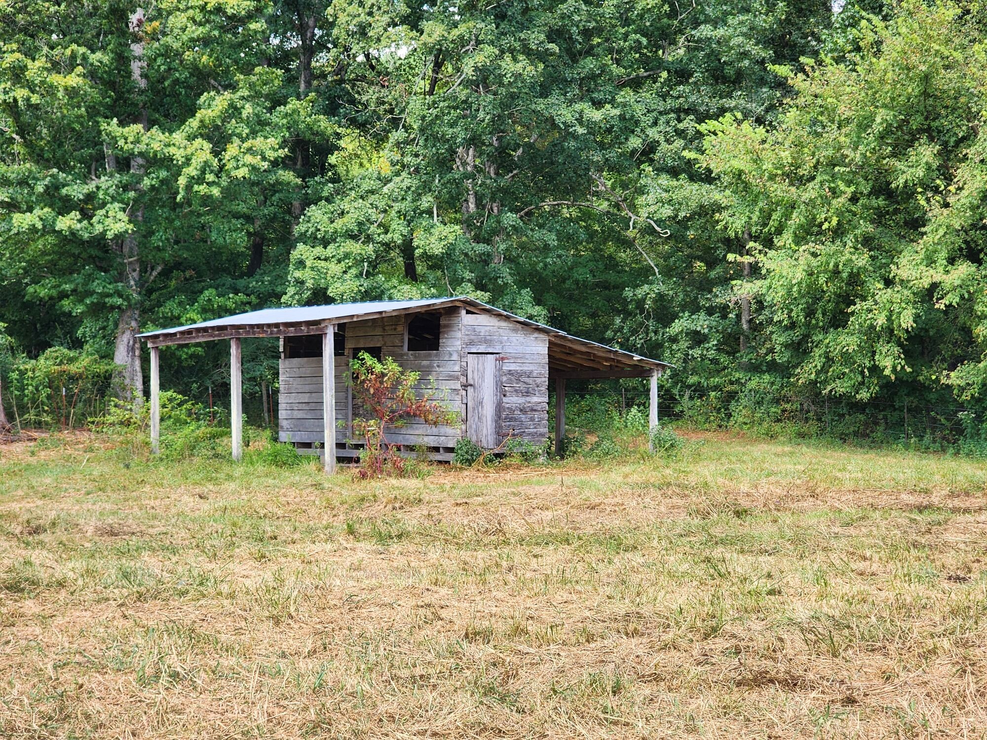 8312 Middle Butler Road Cypress Inn, TN 38452 - Photo 15 of 52 a house with trees in the background
