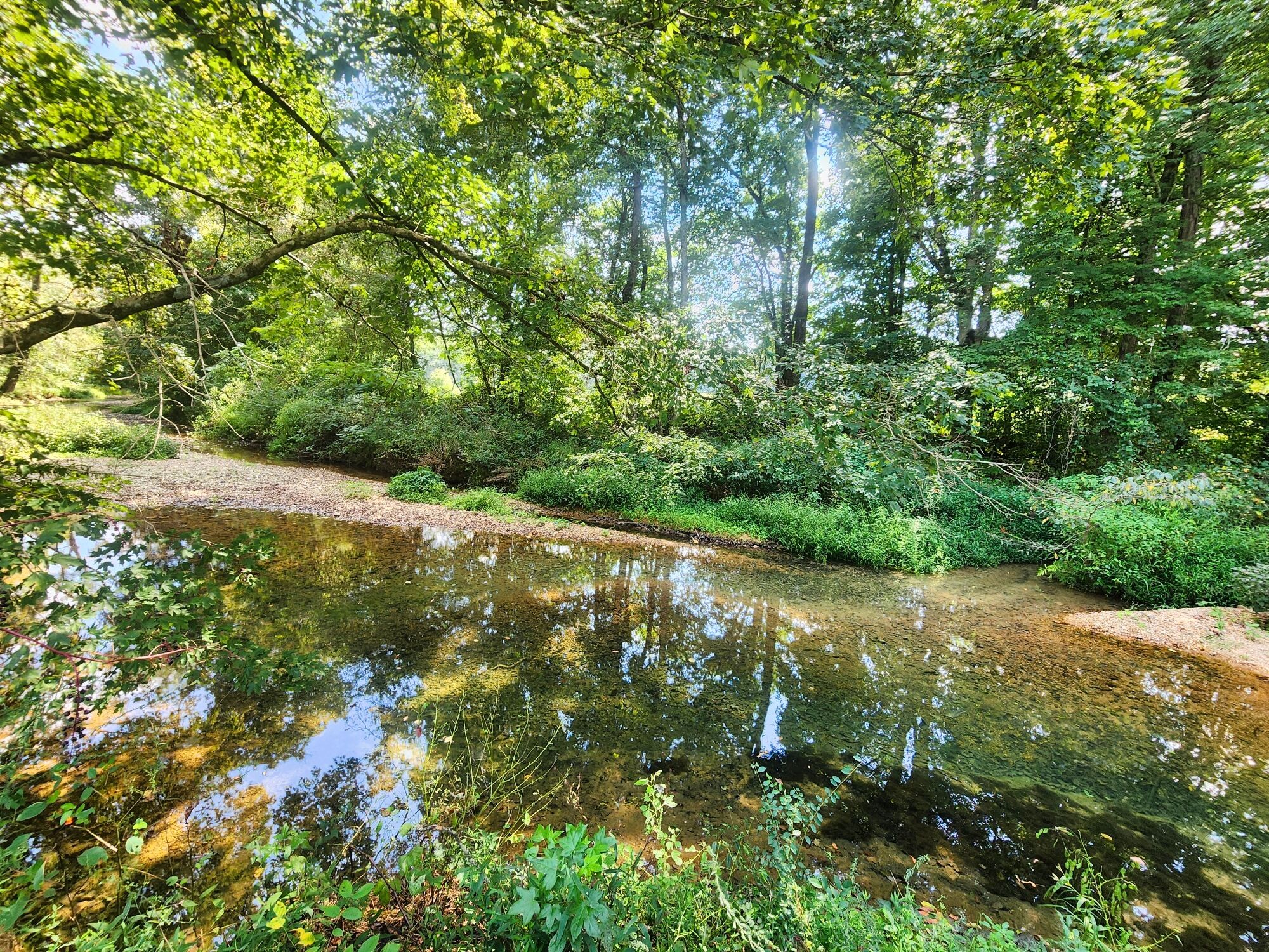 8312 Middle Butler Road Cypress Inn, TN 38452 - Photo 16 of 52 a view of a street with a yard and large trees