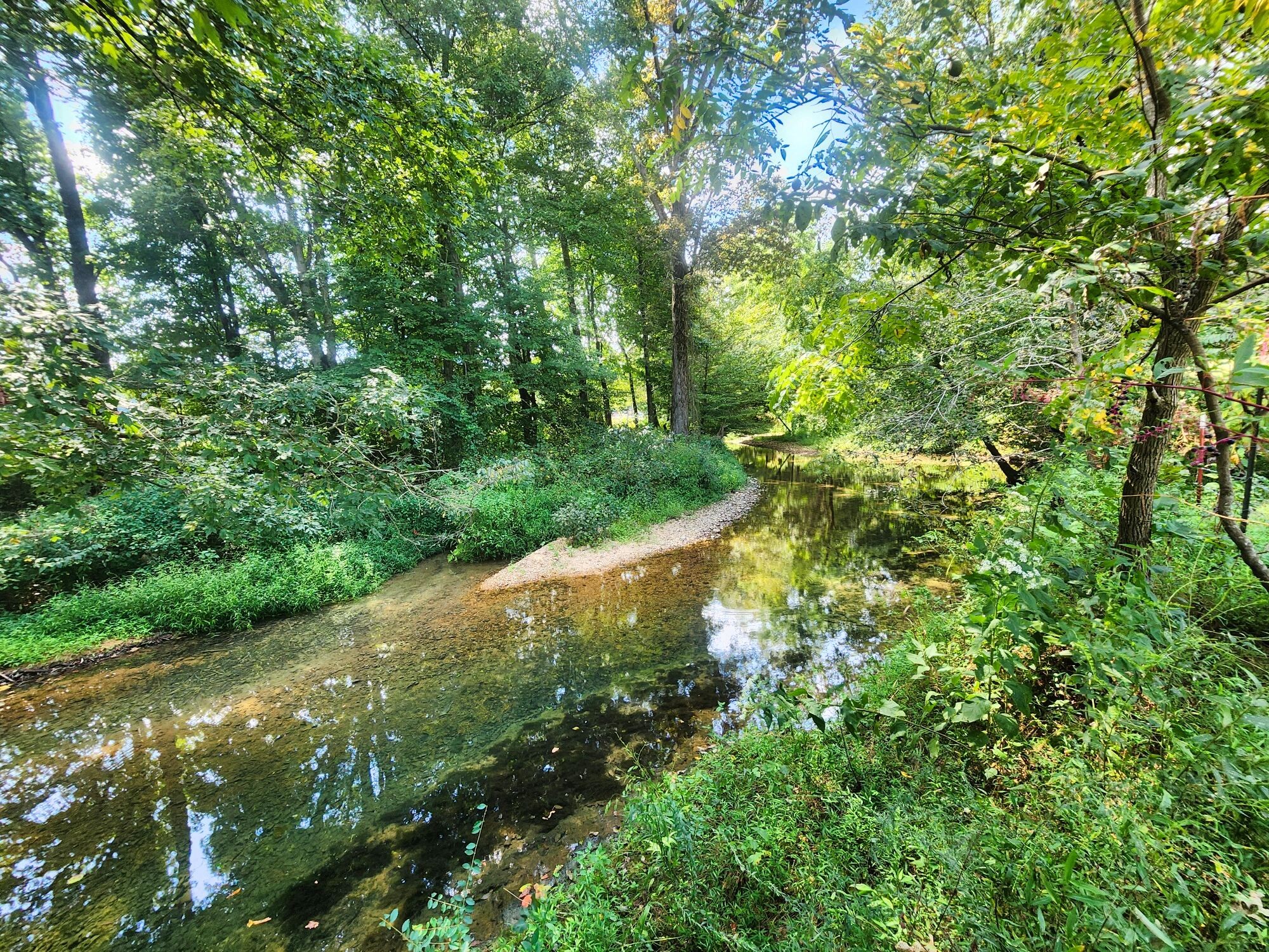 8312 Middle Butler Road Cypress Inn, TN 38452 - Photo 17 of 52 a view of a garden with a tree