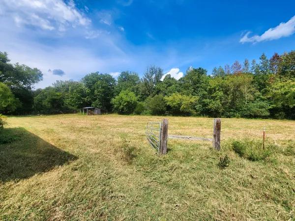a view of a grassy field with an trees