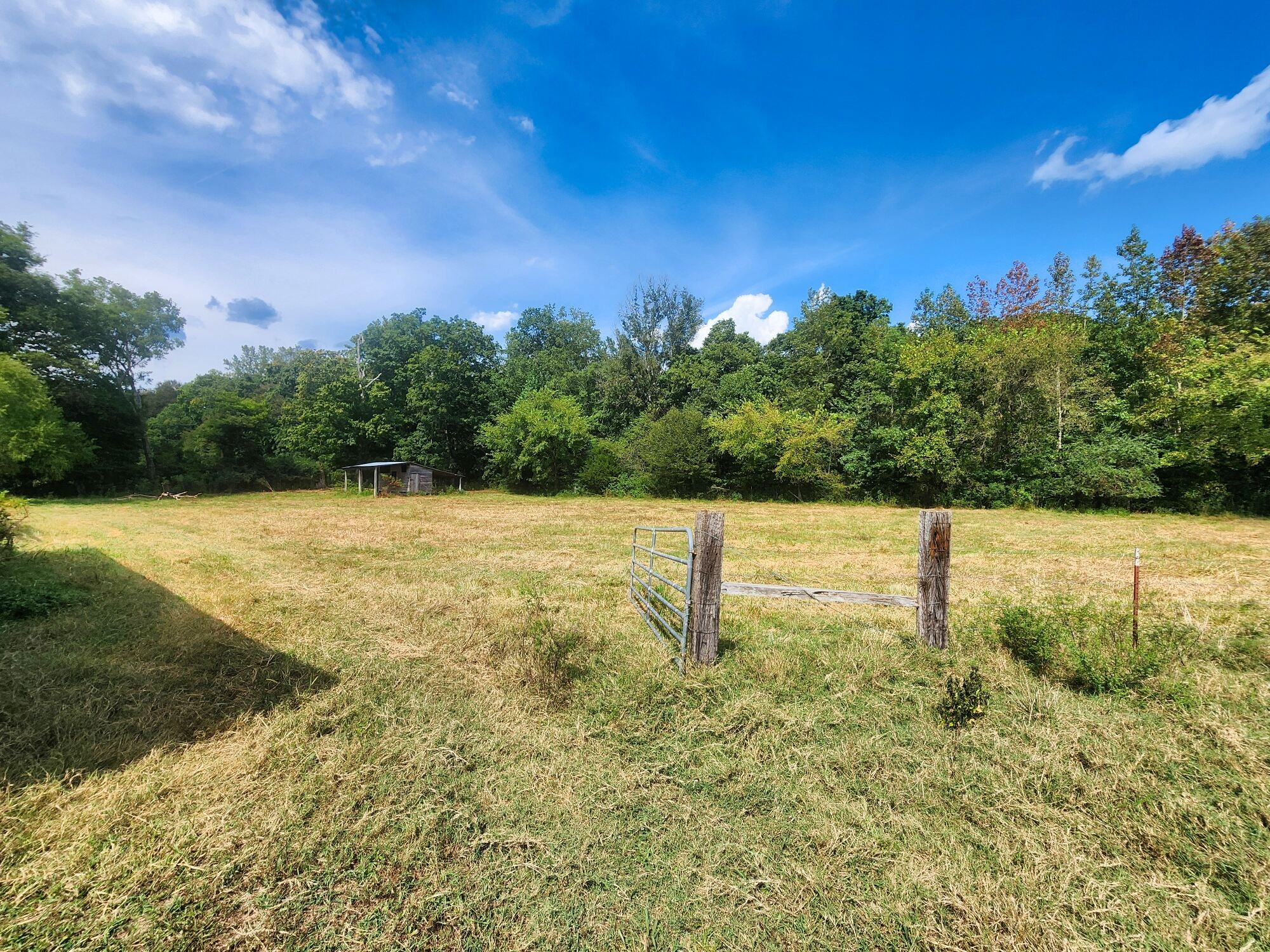 8312 Middle Butler Road Cypress Inn, TN 38452 - Photo 19 of 52 a backyard of a house with lots of green space