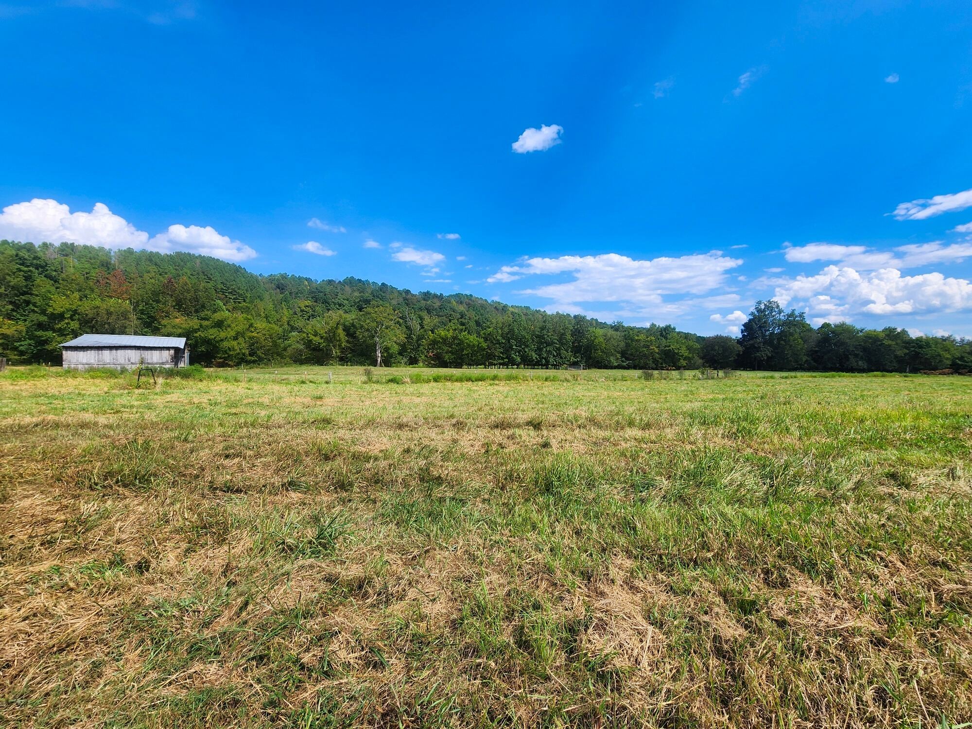 8312 Middle Butler Road Cypress Inn, TN 38452 - Photo 20 of 52 a view of a lake with a mountain