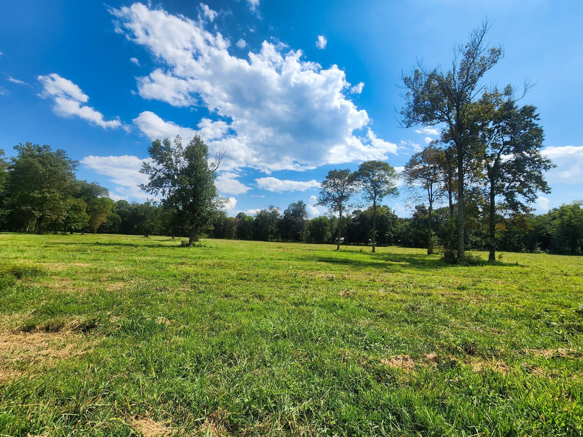8312 Middle Butler Road Cypress Inn, TN 38452 - Photo 2 of 52 a view of a golf course