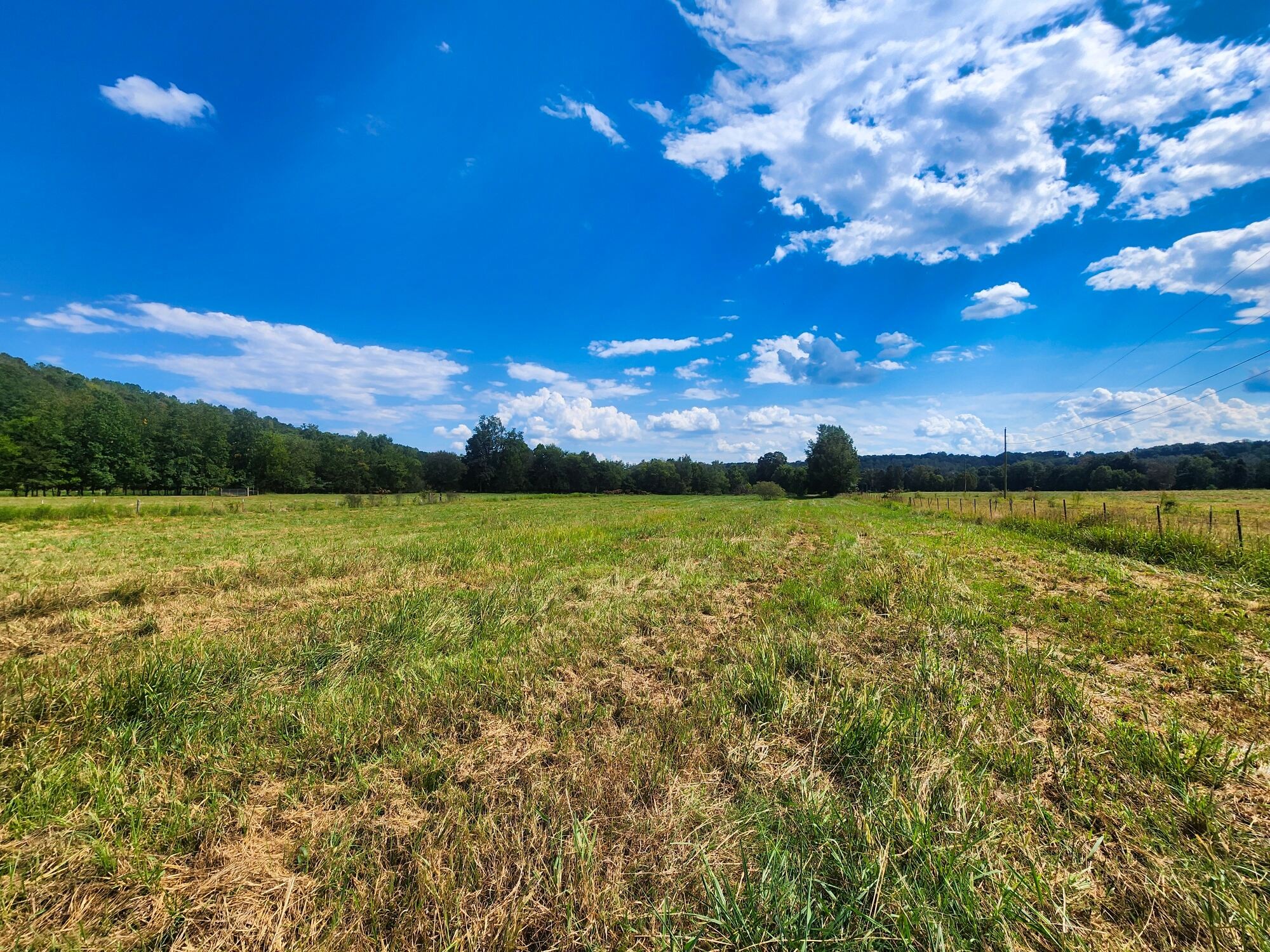 8312 Middle Butler Road Cypress Inn, TN 38452 - Photo 21 of 52