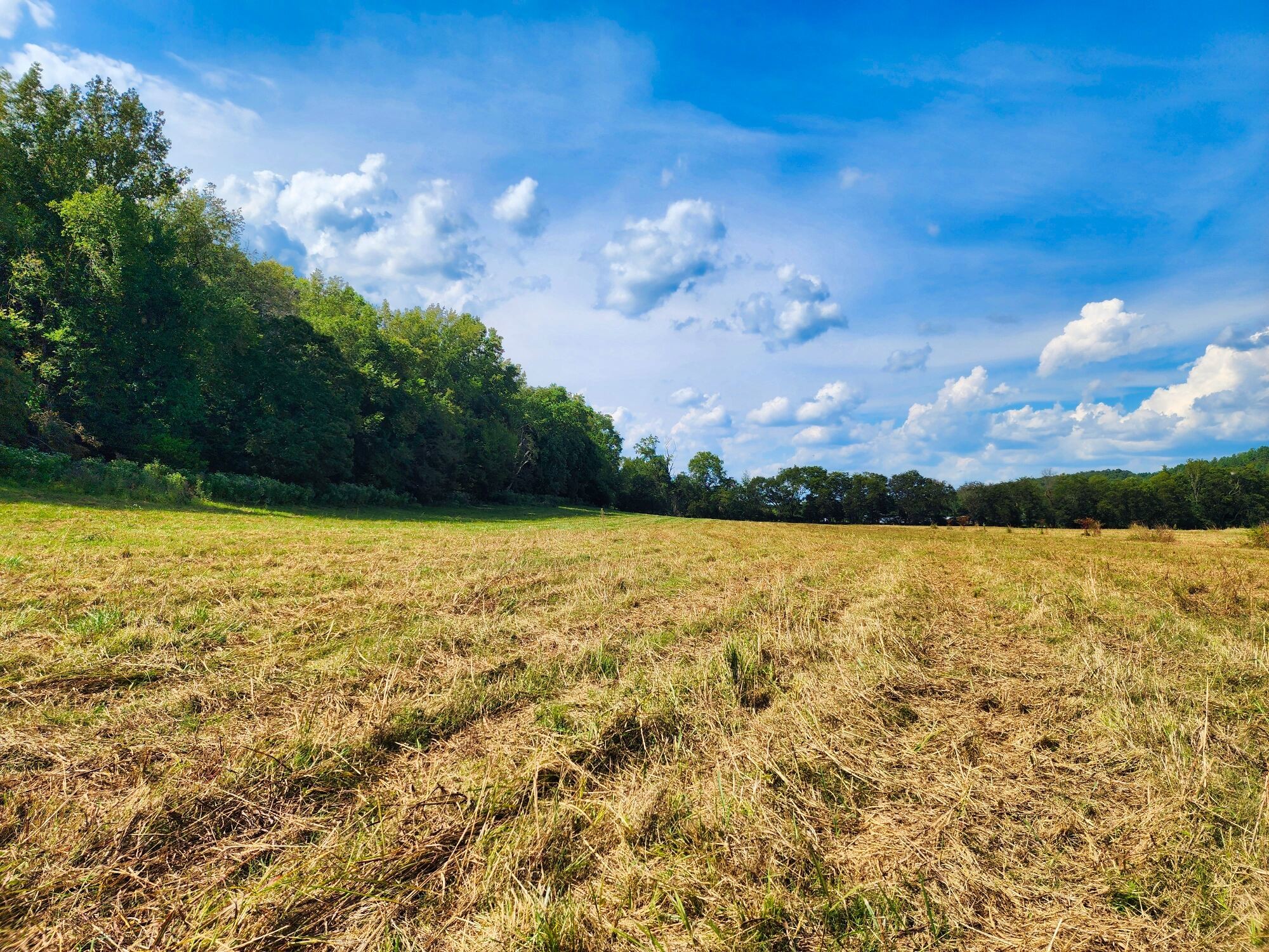 8312 Middle Butler Road Cypress Inn, TN 38452 - Photo 22 of 52 a view of a lake