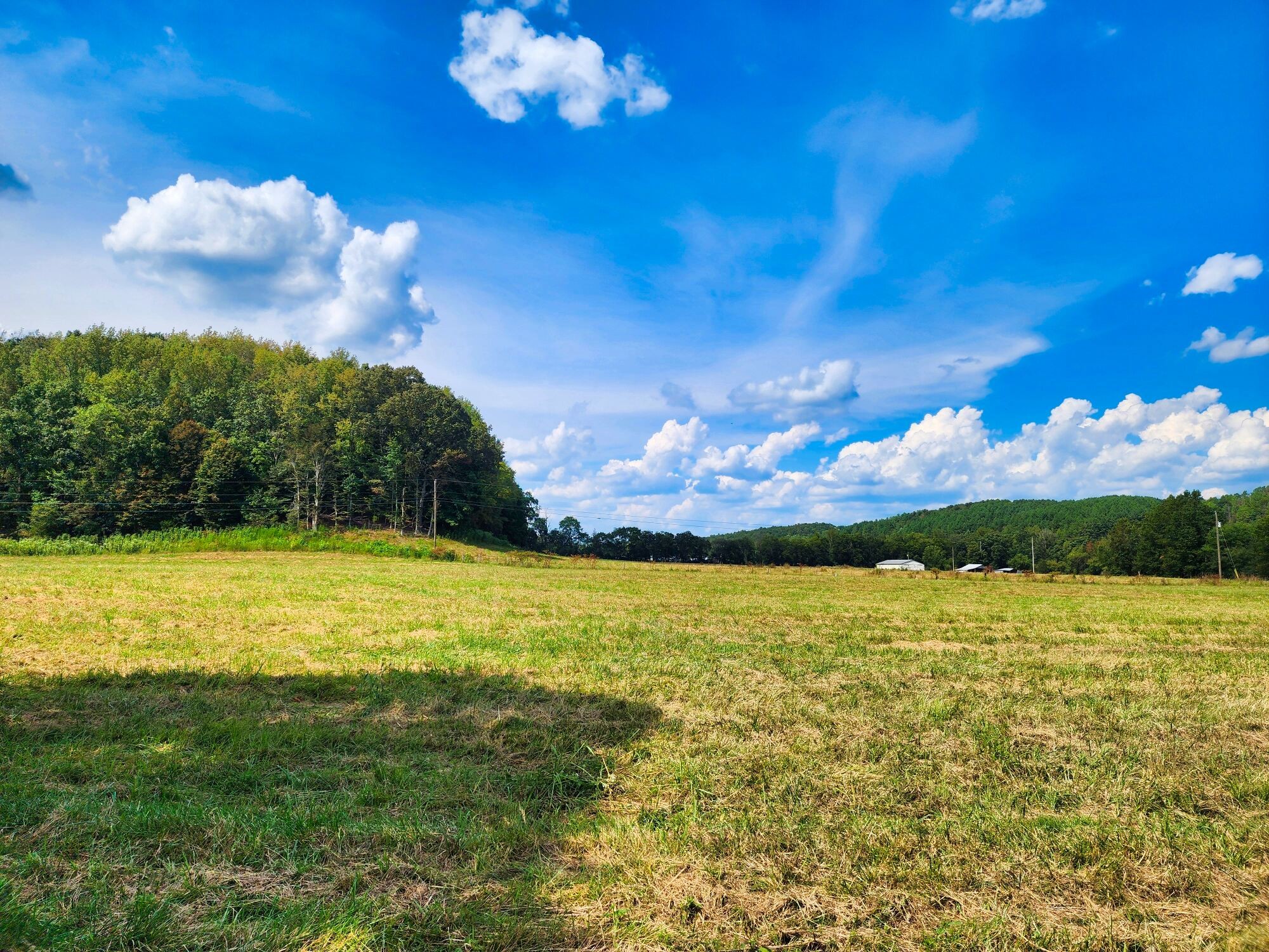 8312 Middle Butler Road Cypress Inn, TN 38452 - Photo 26 of 52 a view of a swimming pool with a yard