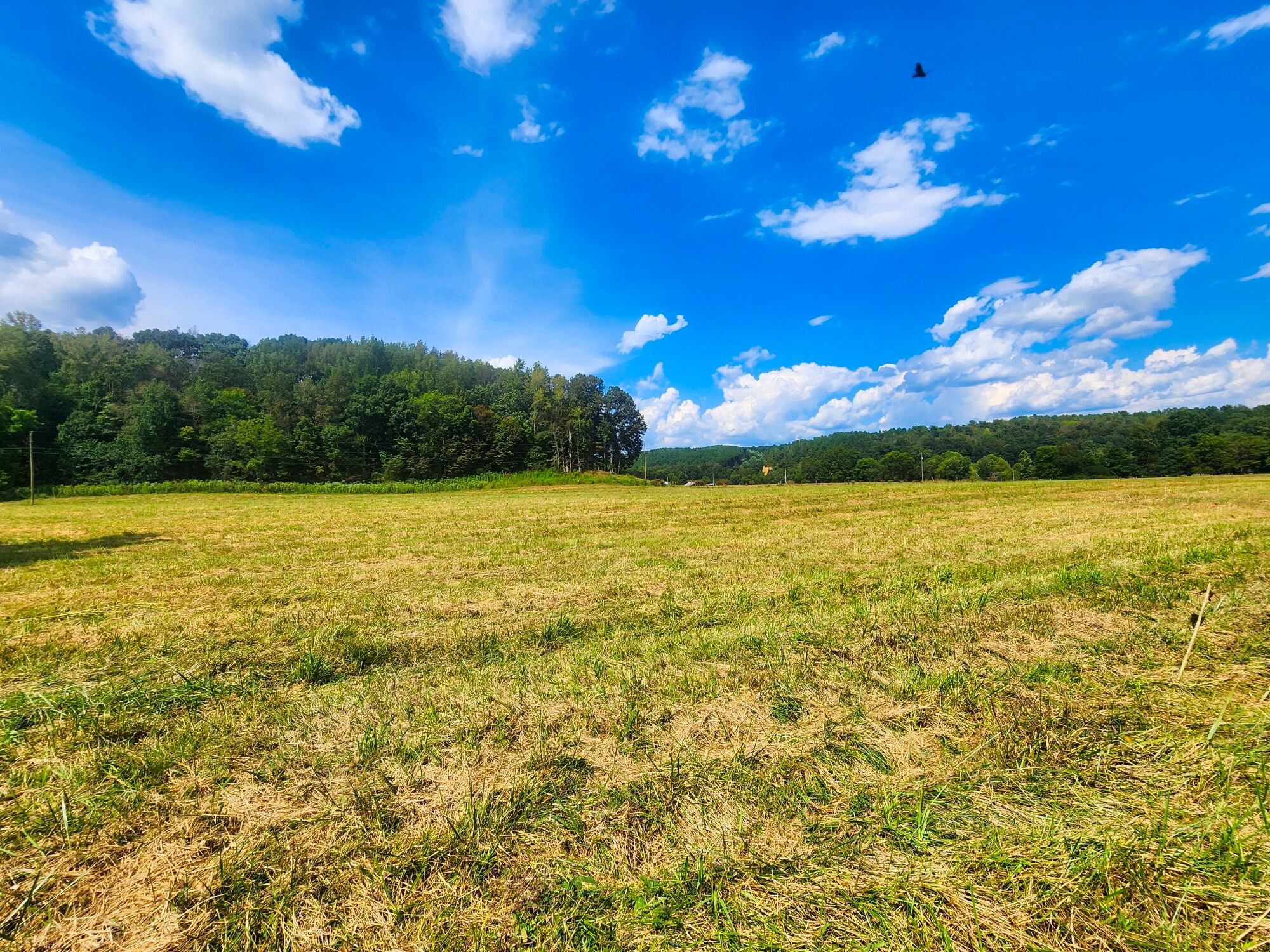 8312 Middle Butler Road Cypress Inn, TN 38452 - Photo 28 of 52 a view of a lake and sunset