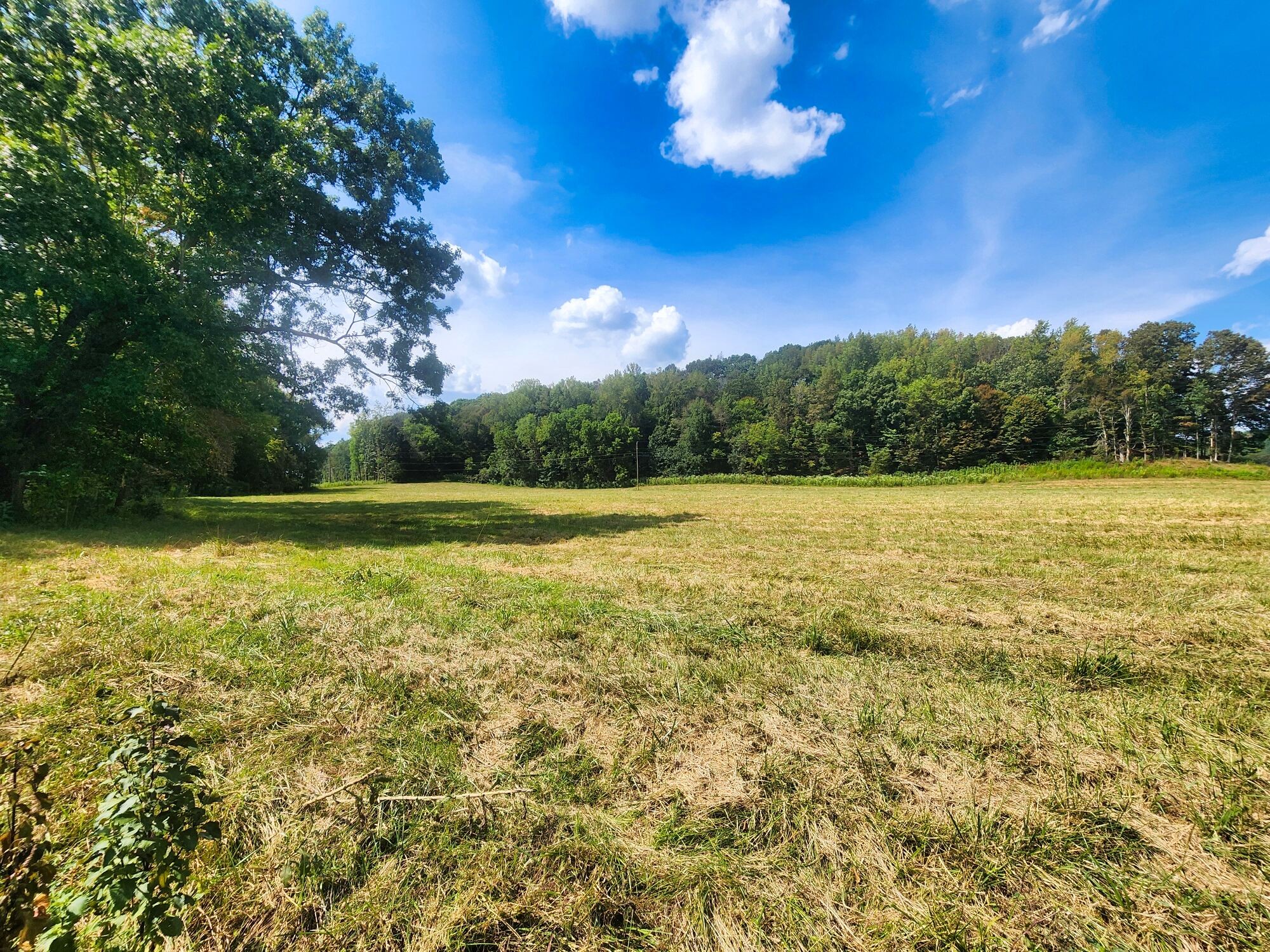 8312 Middle Butler Road Cypress Inn, TN 38452 - Photo 29 of 52 a view of a green yard
