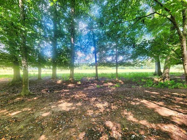 a view of a green field
