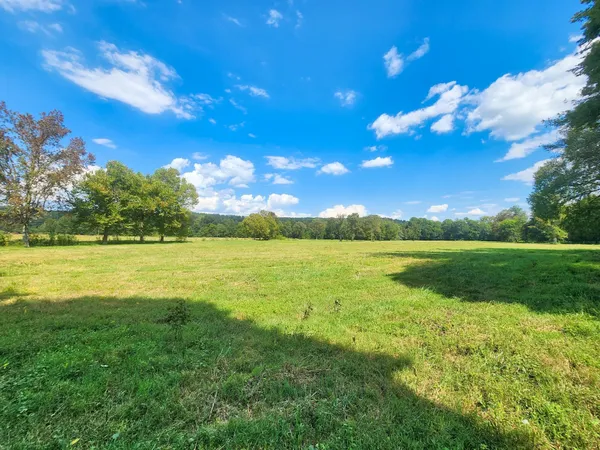 a view of an ocean and a yard