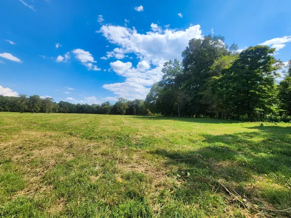 a view of a big yard with lots of green space