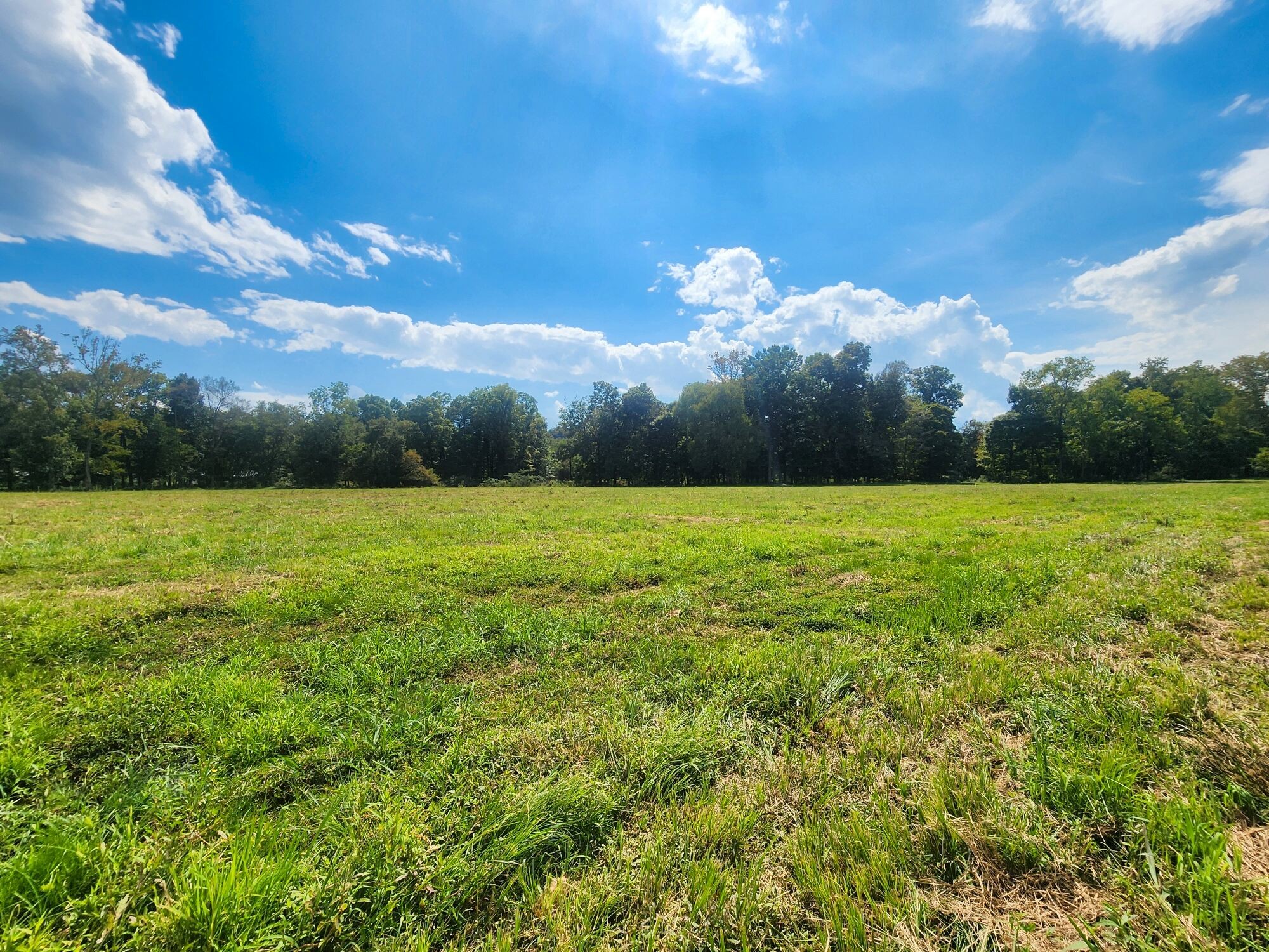8312 Middle Butler Road Cypress Inn, TN 38452 - Photo 34 of 52 a view of a green field