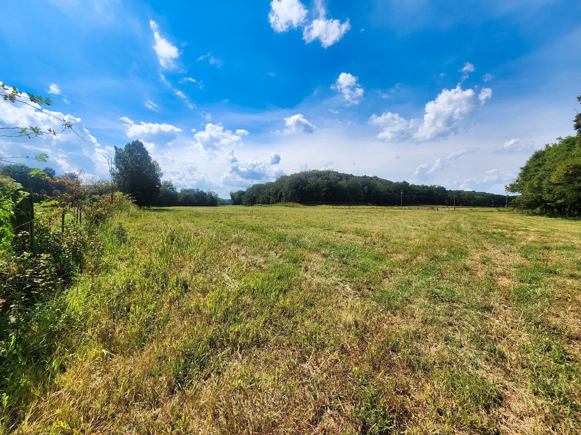 8312 Middle Butler Road Cypress Inn, TN 38452 - Photo 36 of 52 a view of a lake and sunset