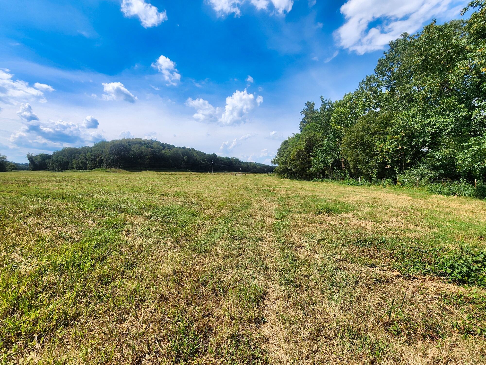 8312 Middle Butler Road Cypress Inn, TN 38452 - Photo 37 of 52 a view of a big yard with lots of green space
