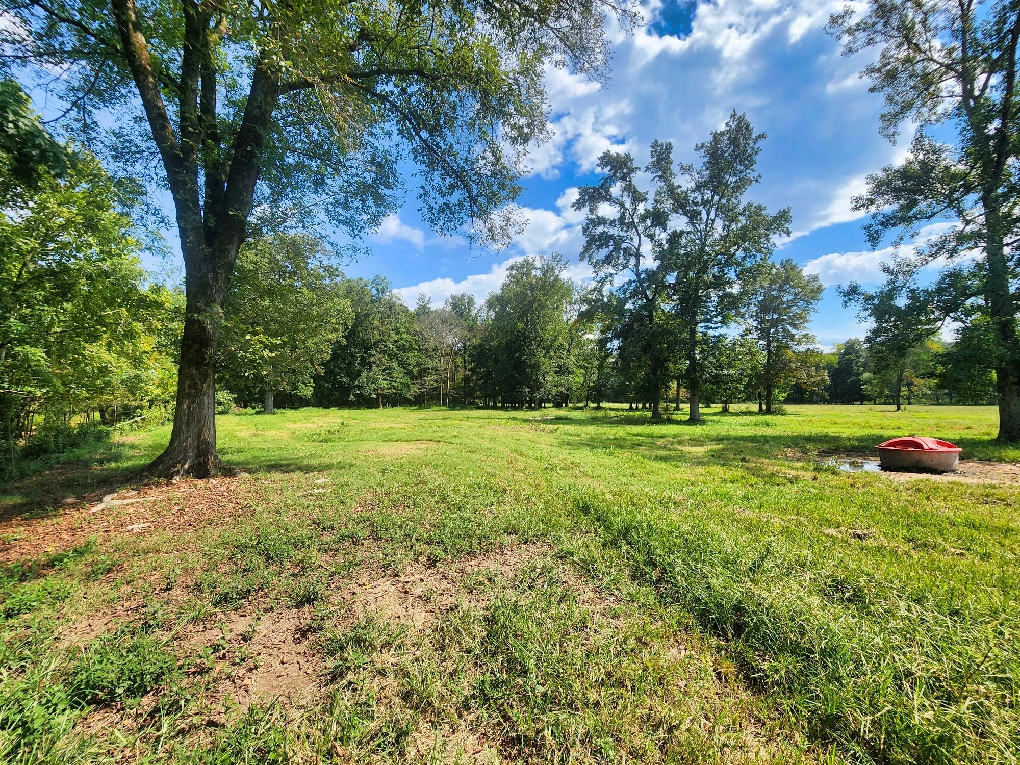 8312 Middle Butler Road Cypress Inn, TN 38452 - Photo 38 of 52 a view of a garden with trees