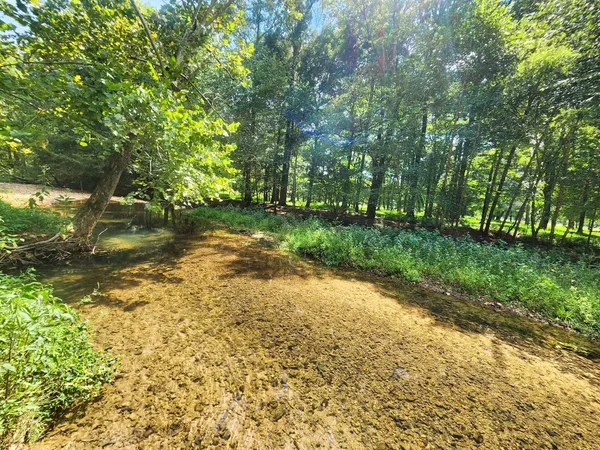 a view of a lake with a yard