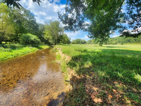 a view of yard with green space