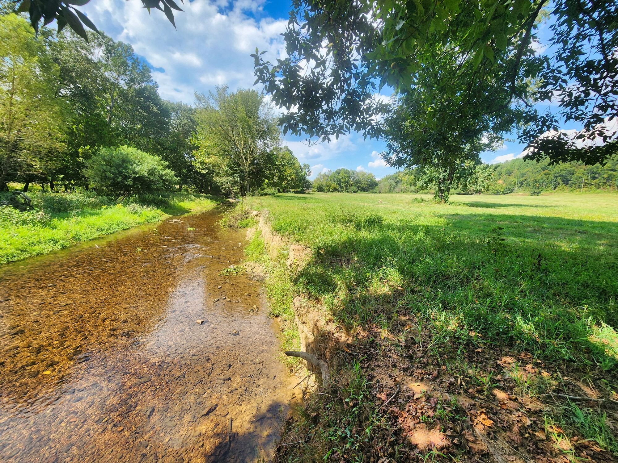 8312 Middle Butler Road Cypress Inn, TN 38452 - Photo 4 of 52 a view of yard with green space