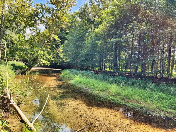 a view of a green field