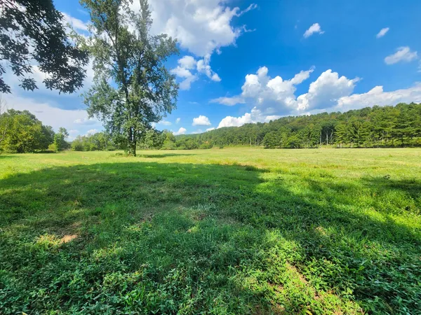 a view of backyard with green space