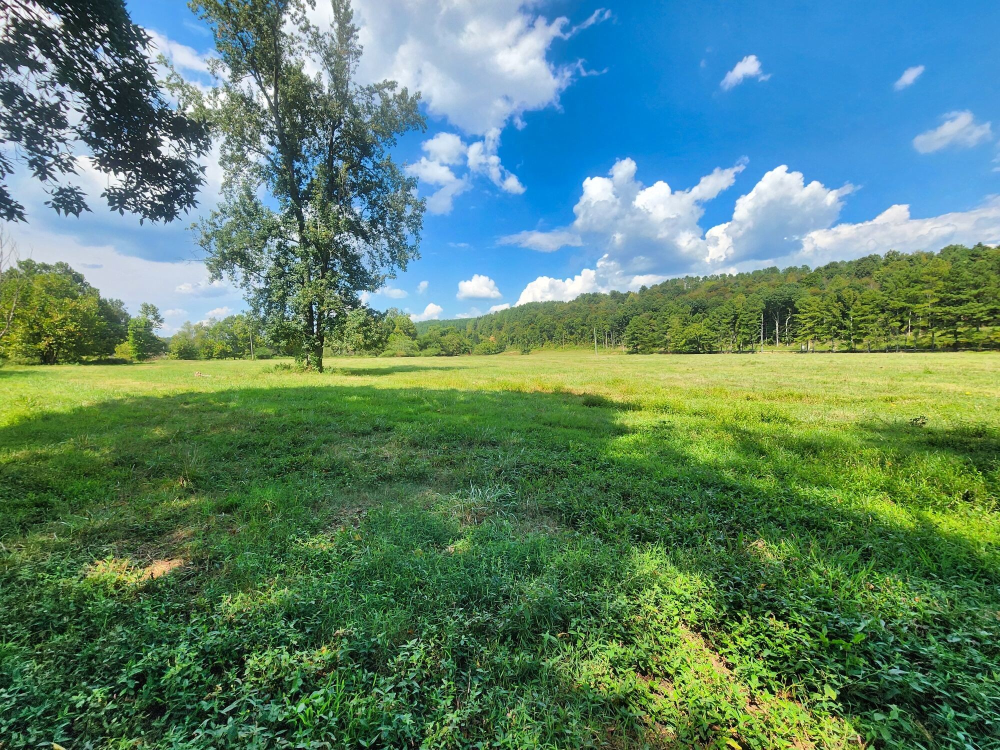 8312 Middle Butler Road Cypress Inn, TN 38452 - Photo 43 of 52 a view of a big yard with lots of green space and mountain view