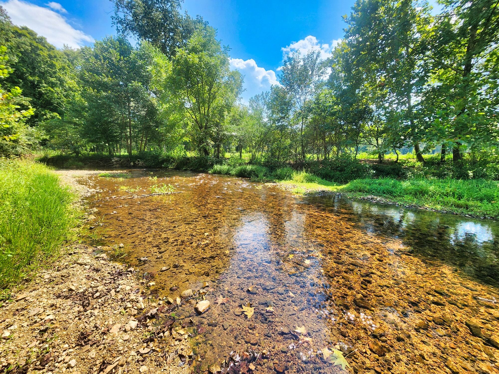 8312 Middle Butler Road Cypress Inn, TN 38452 - Photo 44 of 52 a view of a lake with a yard