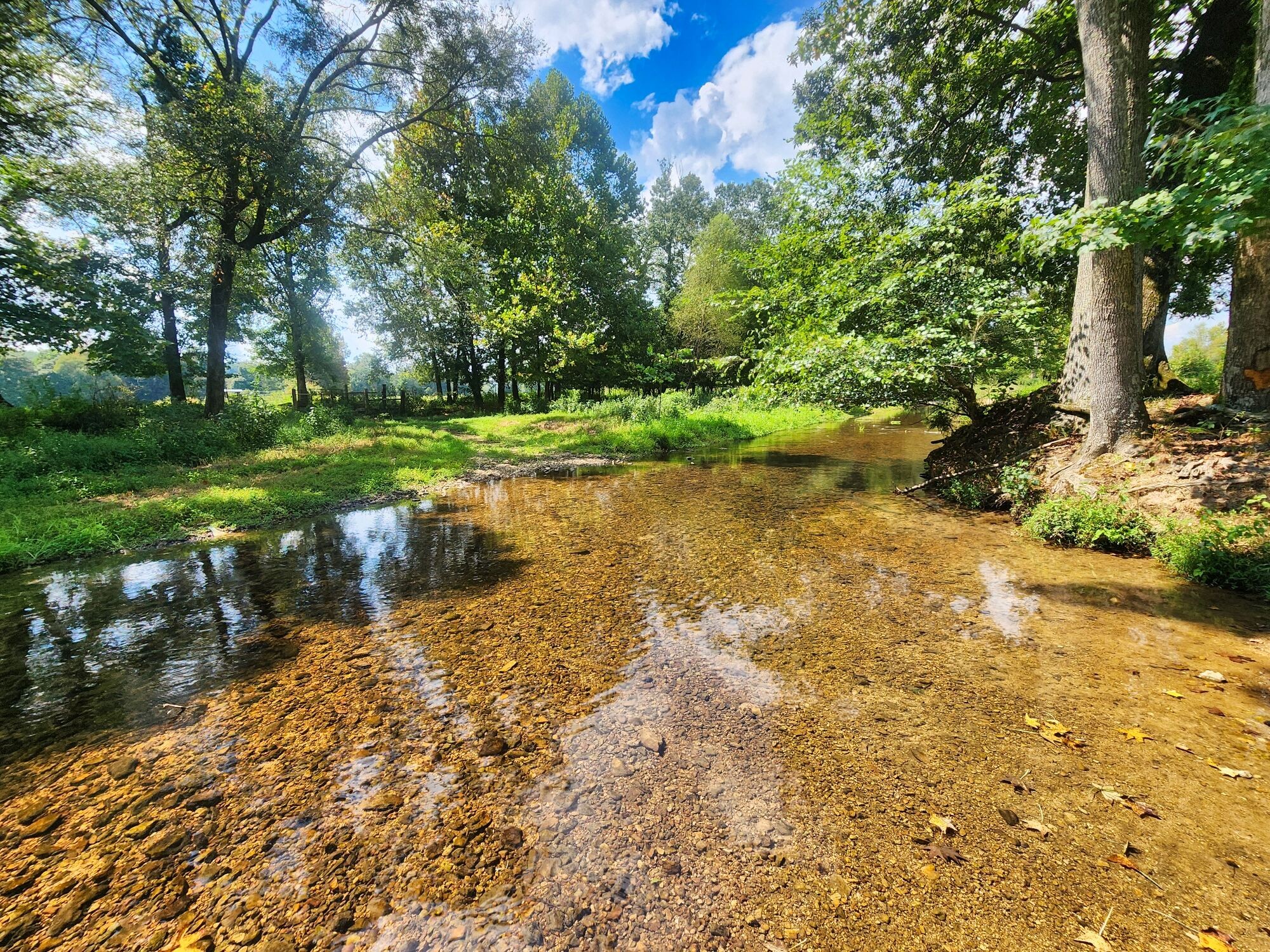 8312 Middle Butler Road Cypress Inn, TN 38452 - Photo 45 of 52 a view of a lake with a yard