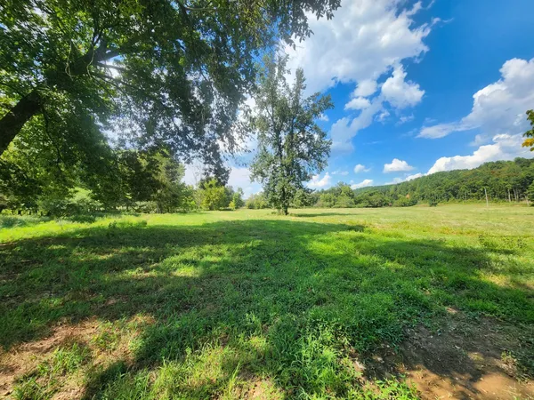 a view of a green field with trees in the background