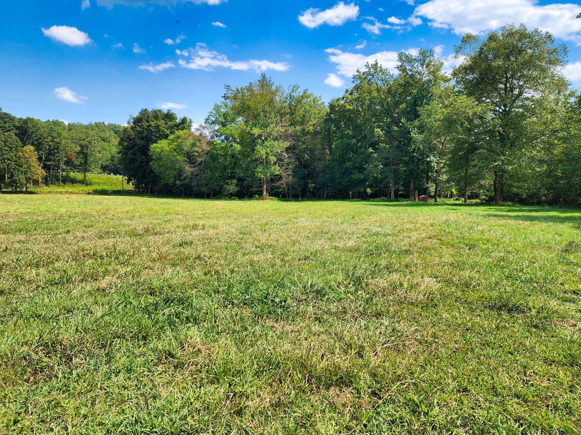 8312 Middle Butler Road Cypress Inn, TN 38452 - Photo 49 of 52 a view of outdoor space and yard