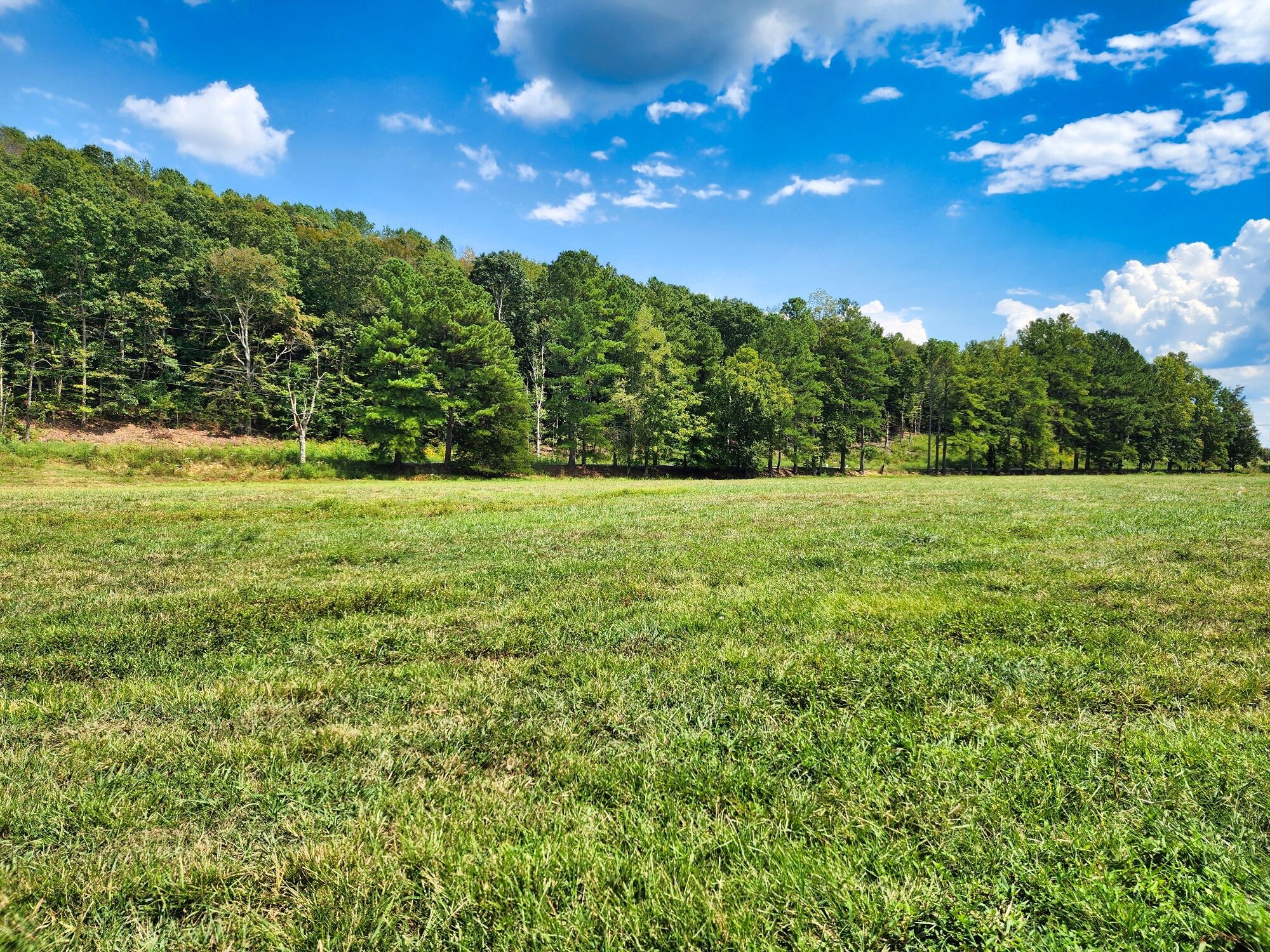 8312 Middle Butler Road Cypress Inn, TN 38452 - Photo 50 of 52 a view of a green field with trees in the background