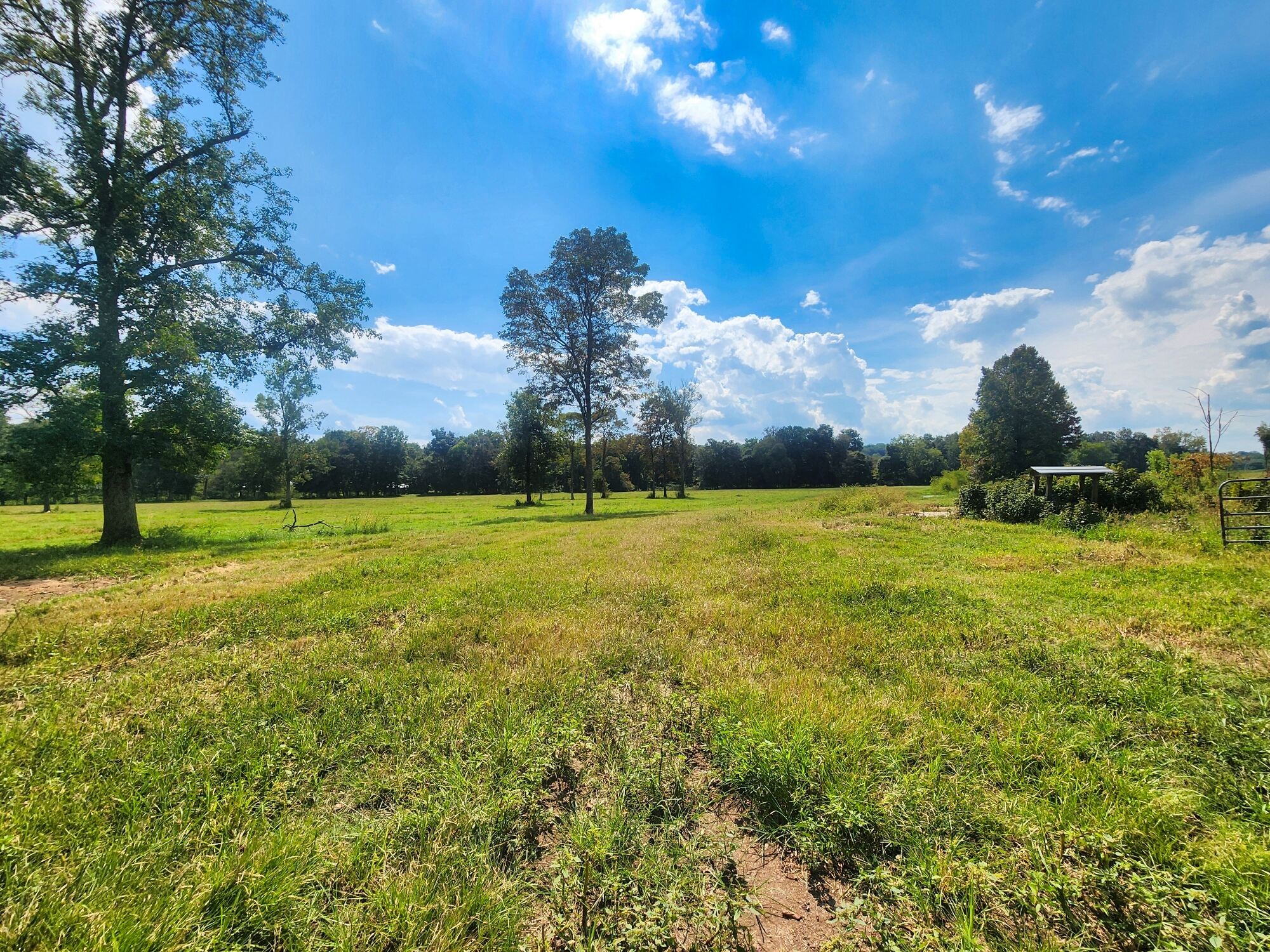 8312 Middle Butler Road Cypress Inn, TN 38452 - Photo 5 of 52 a view of a golf course with a lake