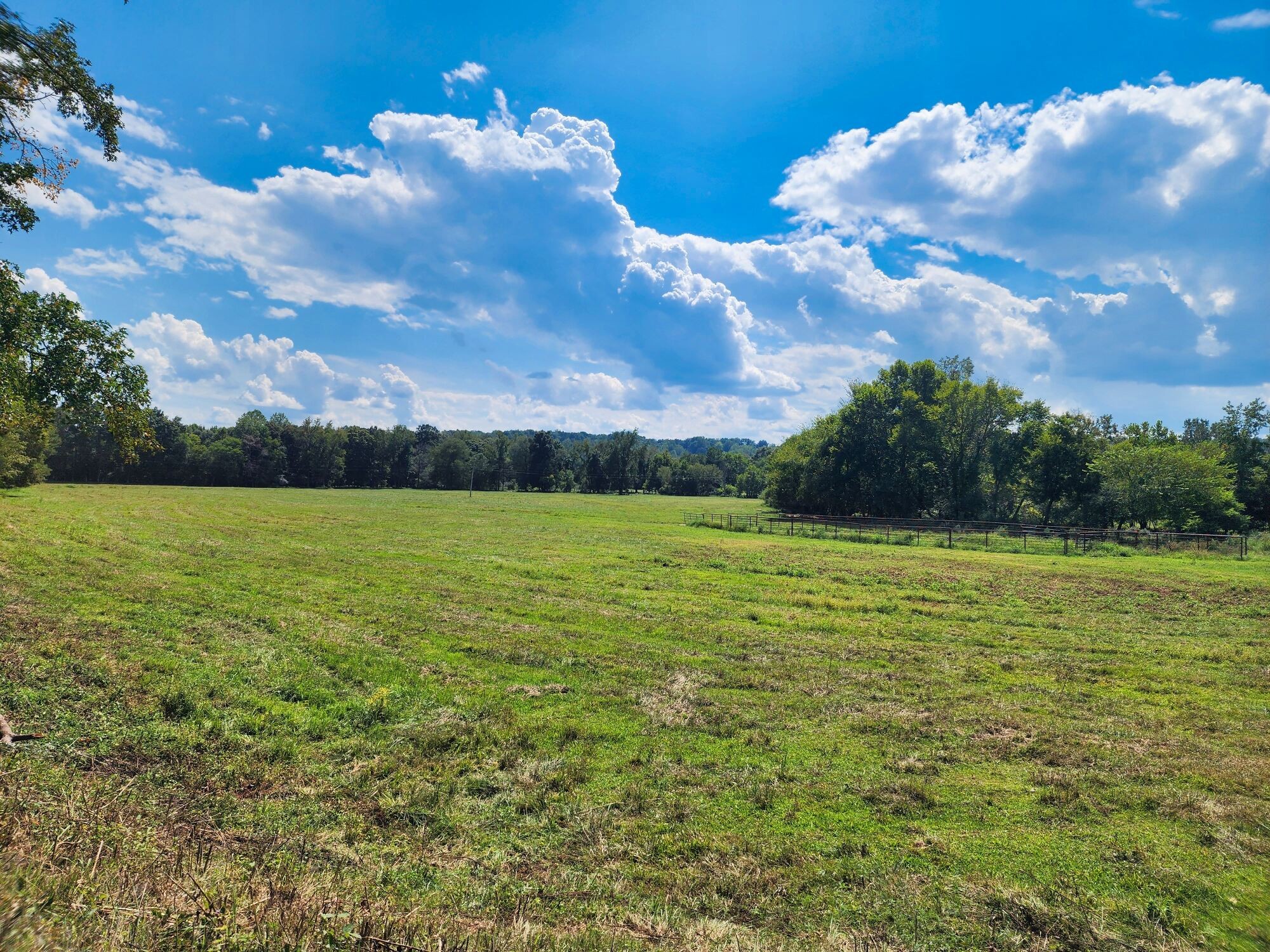 8312 Middle Butler Road Cypress Inn, TN 38452 - Photo 51 of 52 a view of a lake