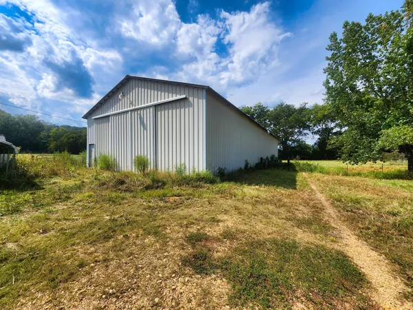 a backyard of a house with plants and large tree