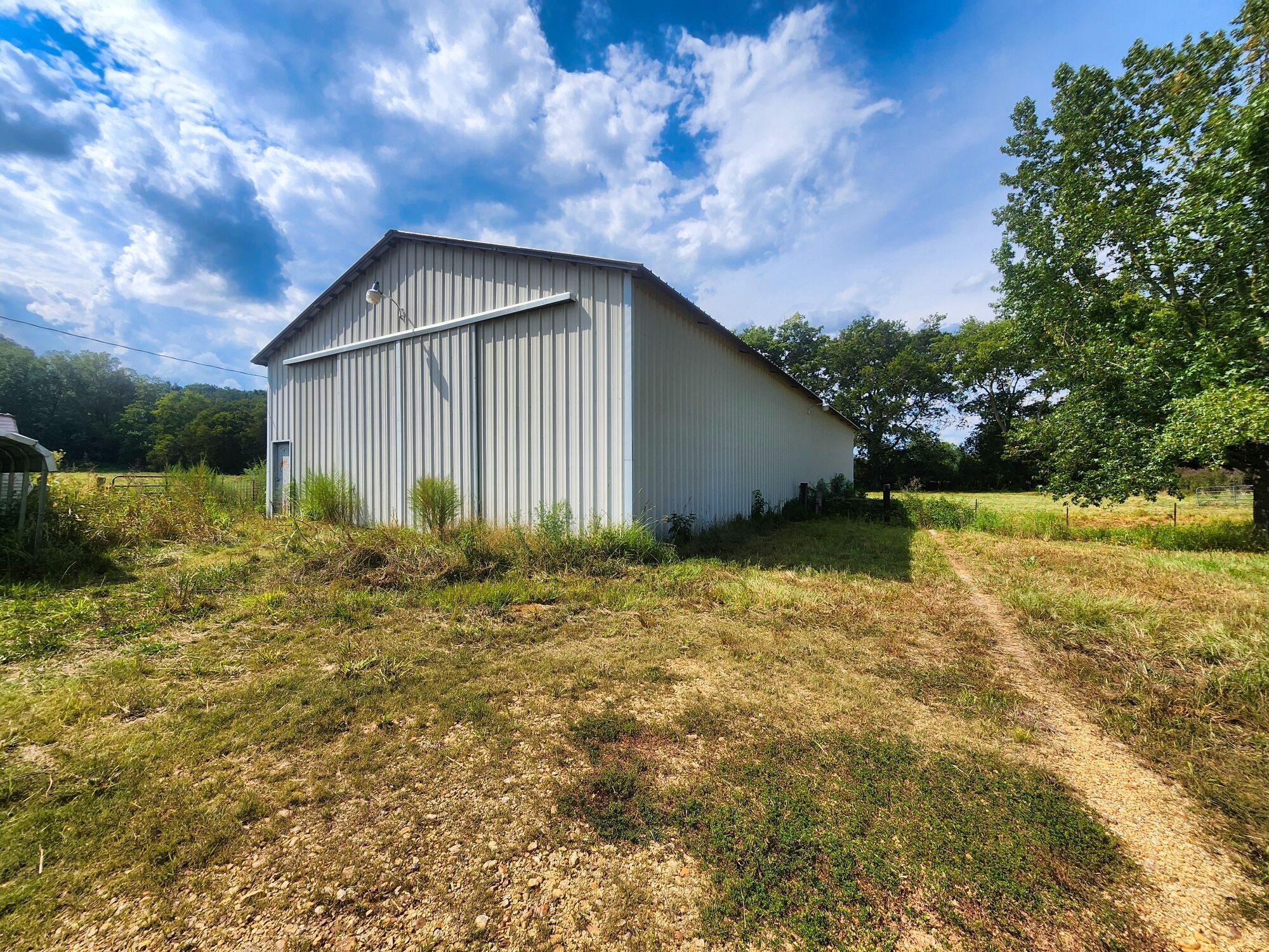 8312 Middle Butler Road Cypress Inn, TN 38452 - Photo 8 of 52 a backyard of a house with plants and large tree