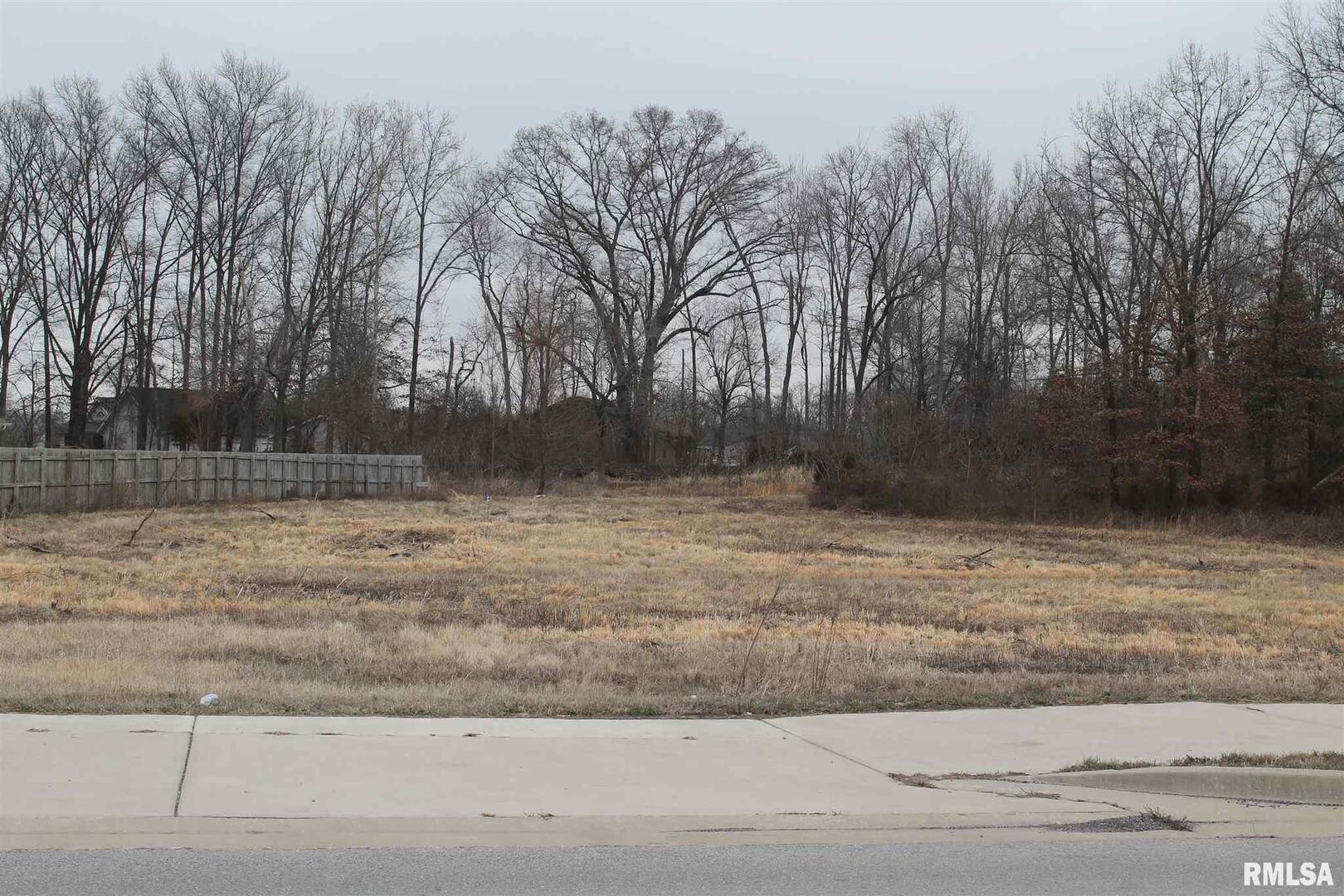 5 North Frontage Road Carterville, IL 62918 - Photo 1 of 1 a backyard of a house