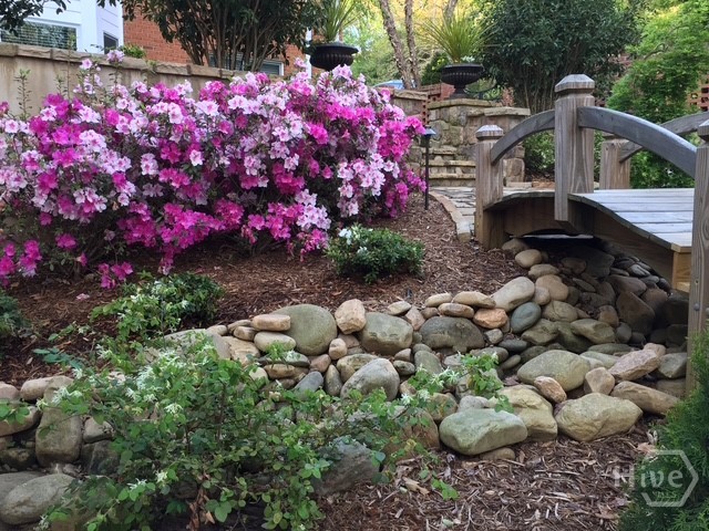 101 Middleton Court Athens, GA 30606 - Photo 52 of 75