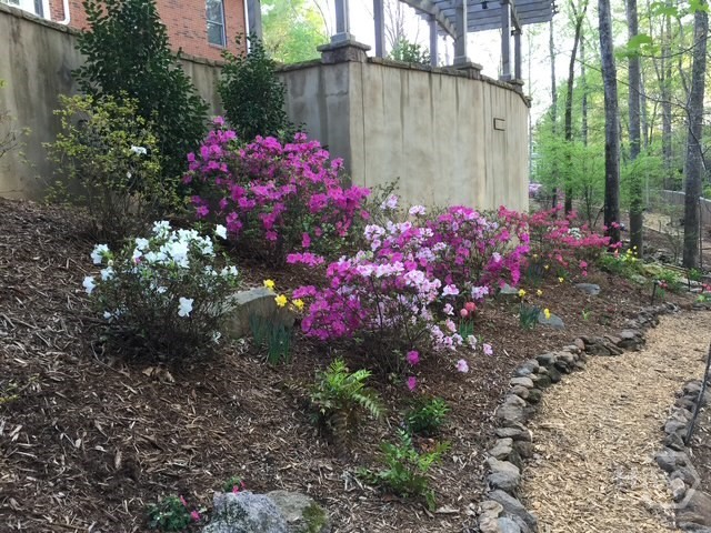 101 Middleton Court Athens, GA 30606 - Photo 53 of 75