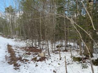 Lot 068002 Shore Road Bremen, ME 04551 - Photo 2 of 4 2_Lot068002ShoreRdBremen