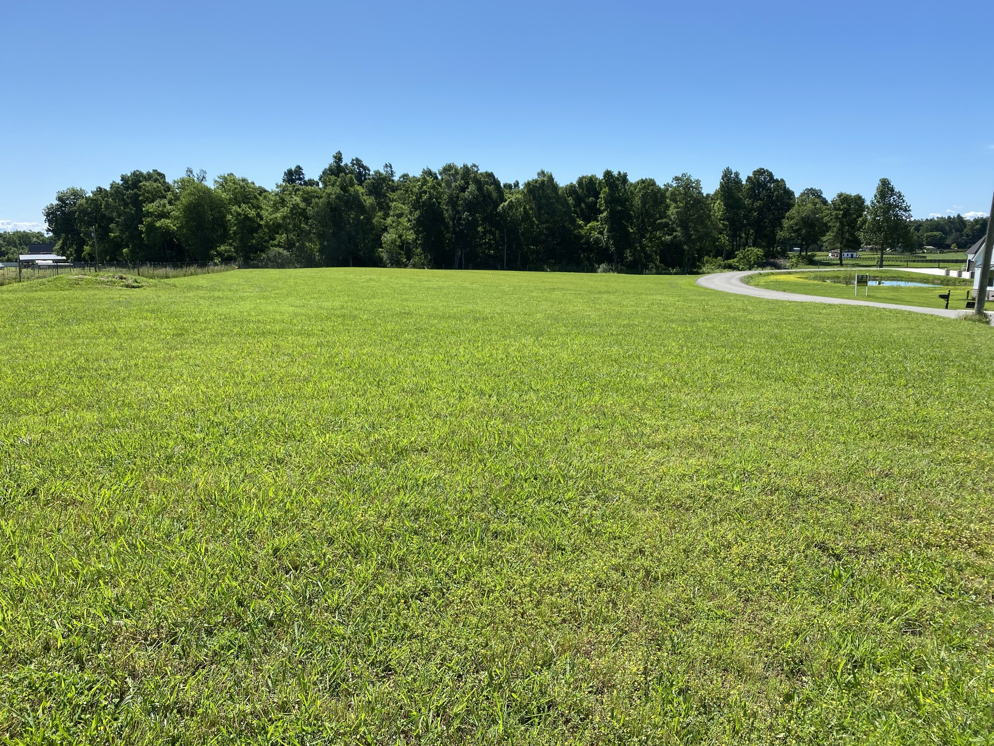 0 Powell Hollow Road Tullahoma, TN 37388 - Photo 1 of 10 a view of a field with trees in the background