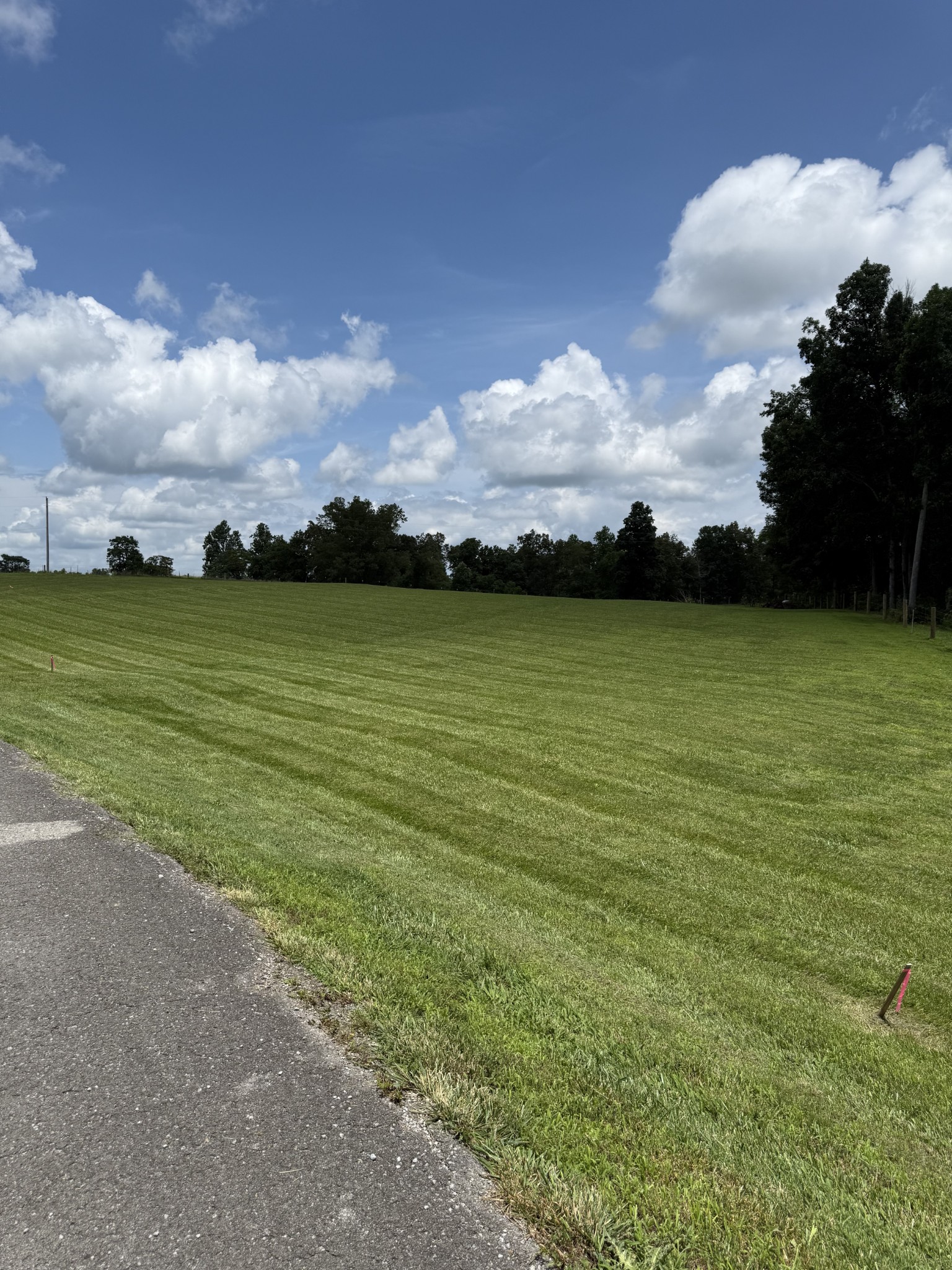 0 Powell Hollow Road Tullahoma, TN 37388 - Photo 4 of 10 a view of an ocean and beach