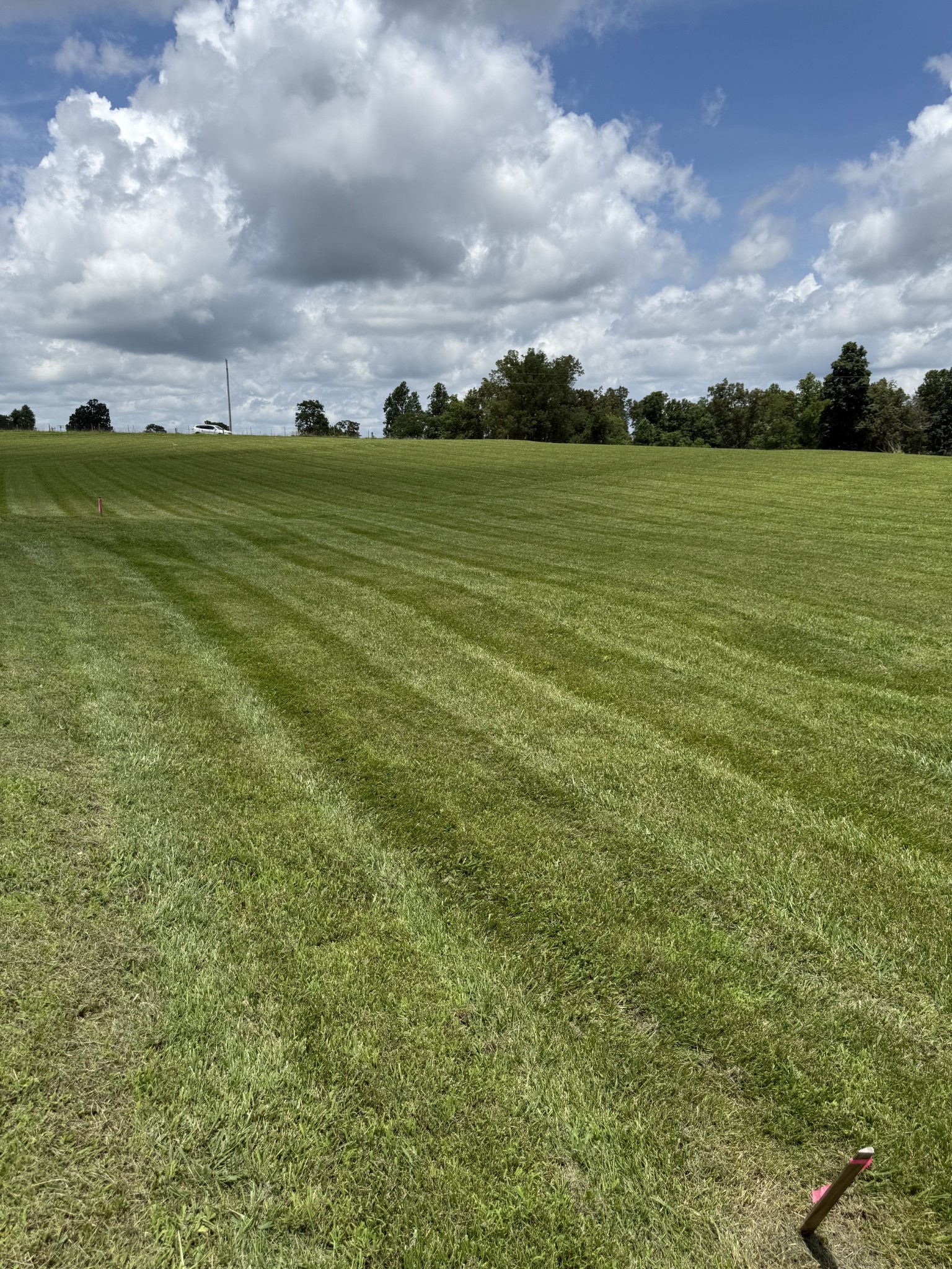 0 Powell Hollow Road Tullahoma, TN 37388 - Photo 5 of 10 a view of an ocean and beach