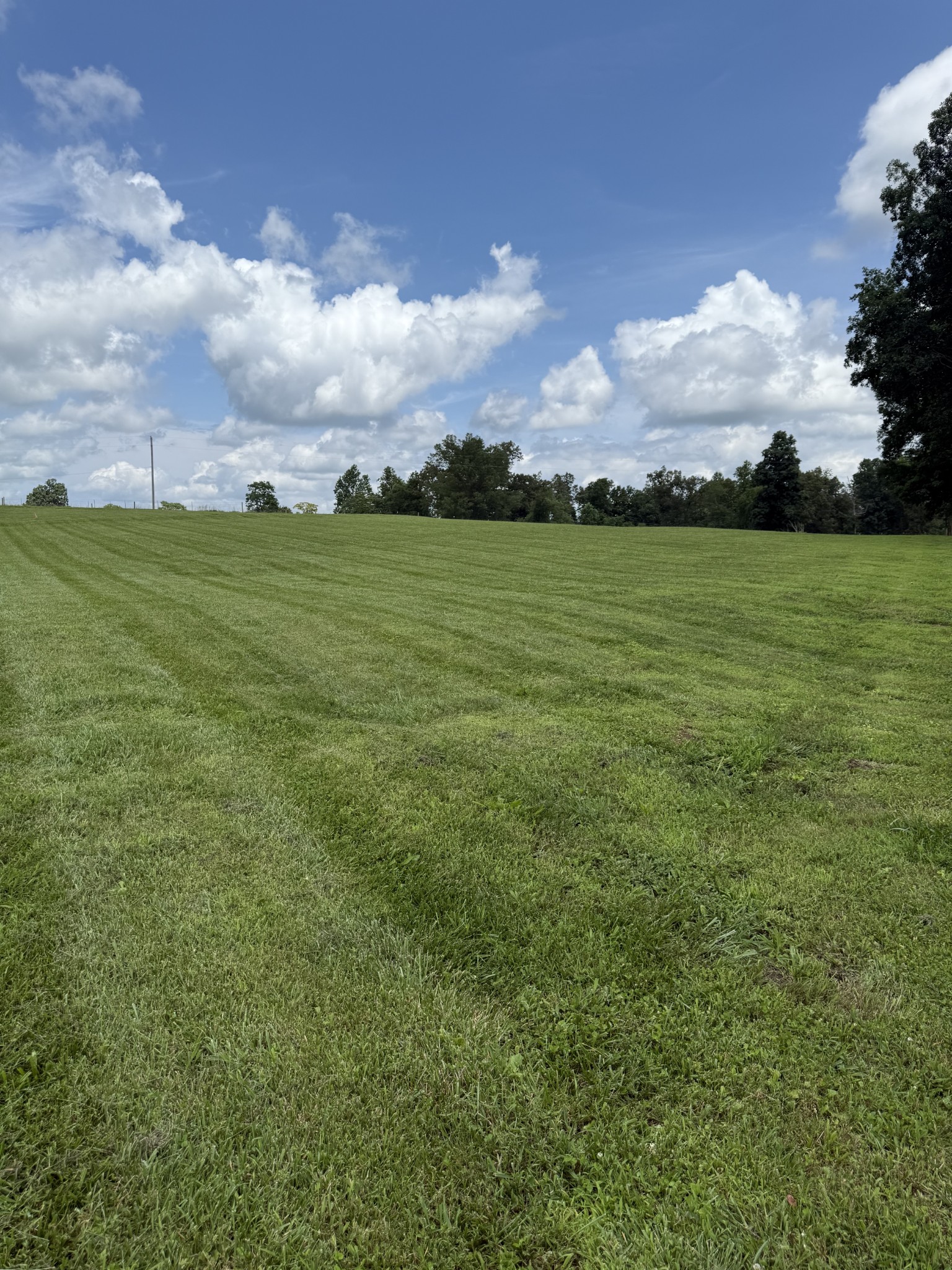 0 Powell Hollow Road Tullahoma, TN 37388 - Photo 7 of 10 a view of an outdoor space and yard