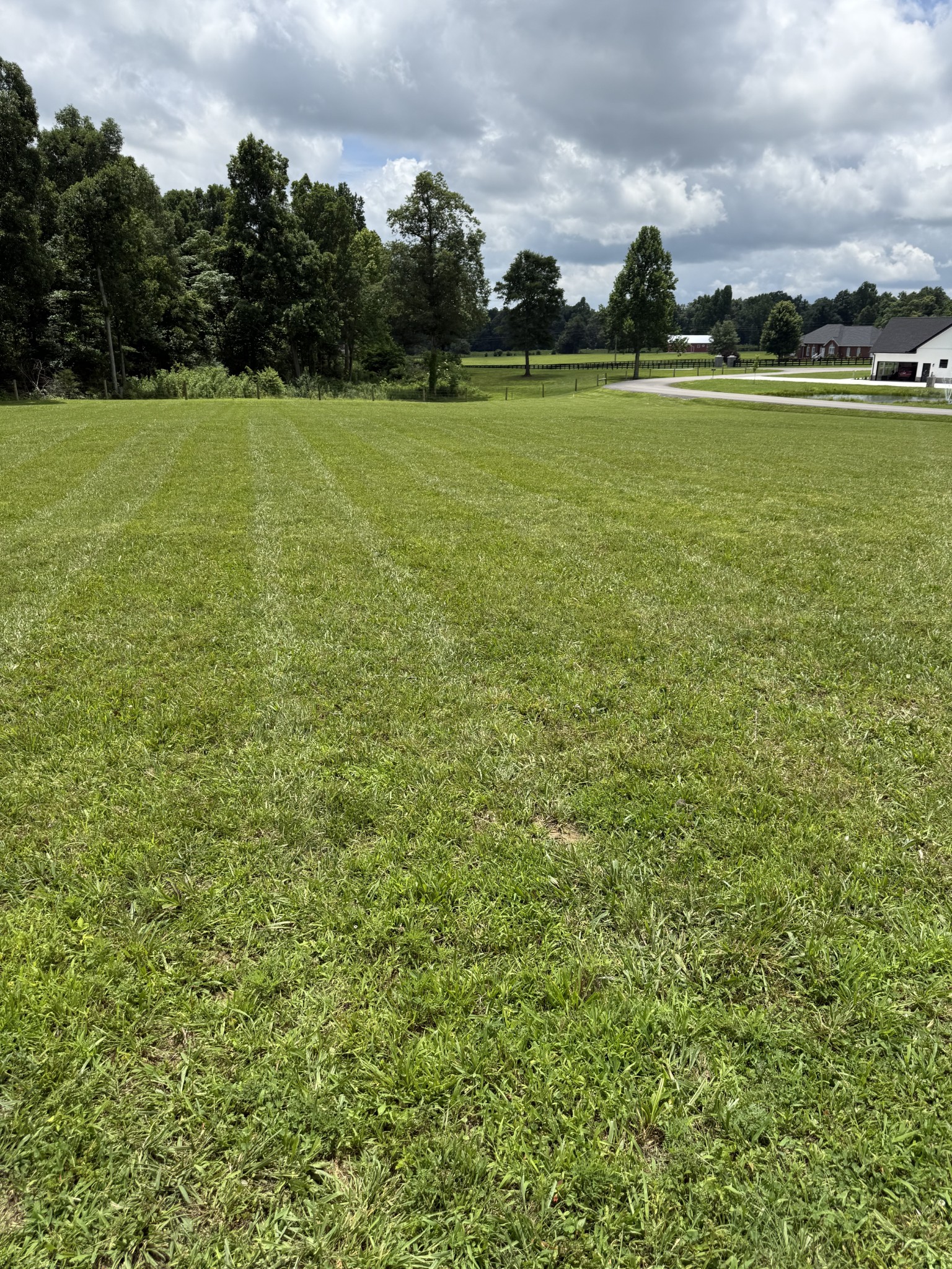 0 Powell Hollow Road Tullahoma, TN 37388 - Photo 8 of 10 a view of a green field