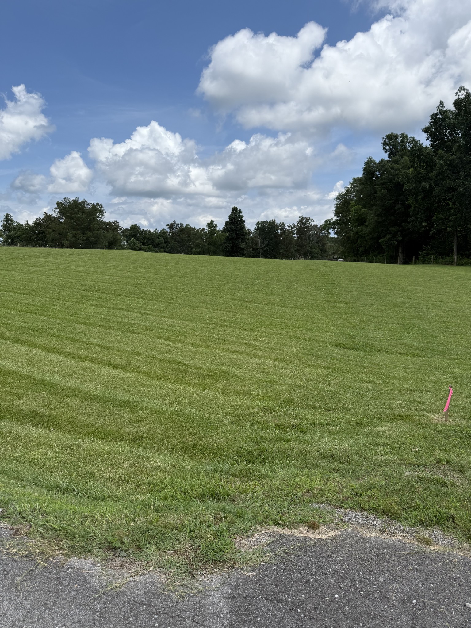 0 Powell Hollow Road Tullahoma, TN 37388 - Photo 9 of 10 a view of a lake view
