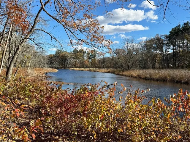 a view of lake with green space