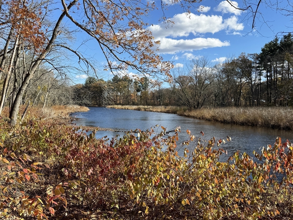 280 Quinobequin Road Newton, MA 02468 - Photo 11 of 31 a view of lake with green space